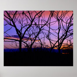 Póster Increíble atardecer morado con siluetas de árbol