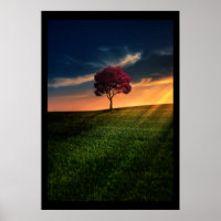 Increíble paisaje con un árbol rojo al atardecer