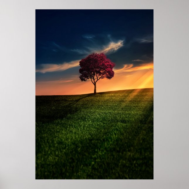 Póster Increíble paisaje con un árbol rojo al atardecer (Frente)