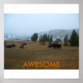 Póster Increíble Poster de búfalo