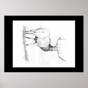 Póster Indecisión ~ Poster Elk