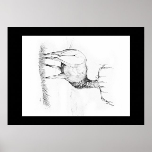 Póster Indecisión ~ Poster Elk (Frente)