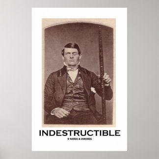 Póster Indestructible (Gálibo Phineas)