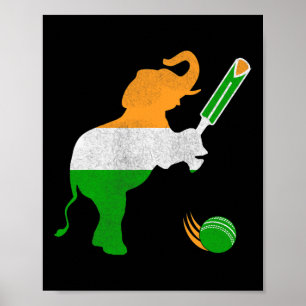 Póster India Cricket 1