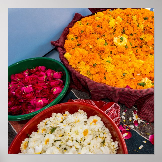 Póster India, Rajastán, Pipar (Frente)