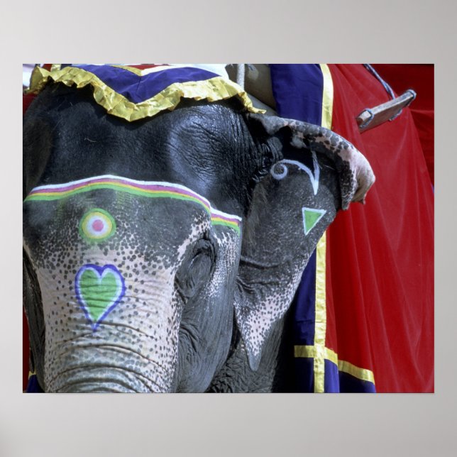 Póster India, Rajasthan, Jaipur. Amber Fort. (Frente)