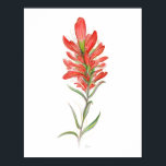 Póster Indian Paintbrush Red Wildflower Art<br><div class="desc">Create your own pretty Indian paintbrush flower poster print art that can be personalized further for your custom wall decor or even as a special gift. The original artwork digitally painted by Raphaela Wilson features a single Texas/Wyoming red paintbrush flower with accents of vintage gold ink strokes... Make the rustic...</div>