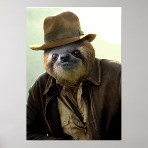 Póster Indiana Sloth