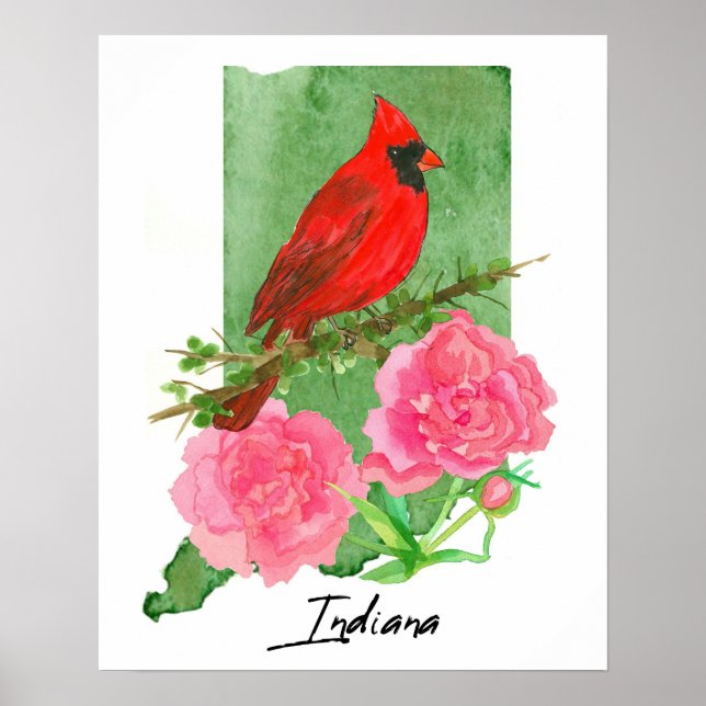 Póster Indiana State Shape Hoosiers Cardinal Peonies  (Frente)
