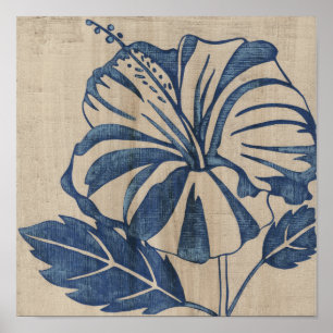 Póster Indigo Hibiscus
