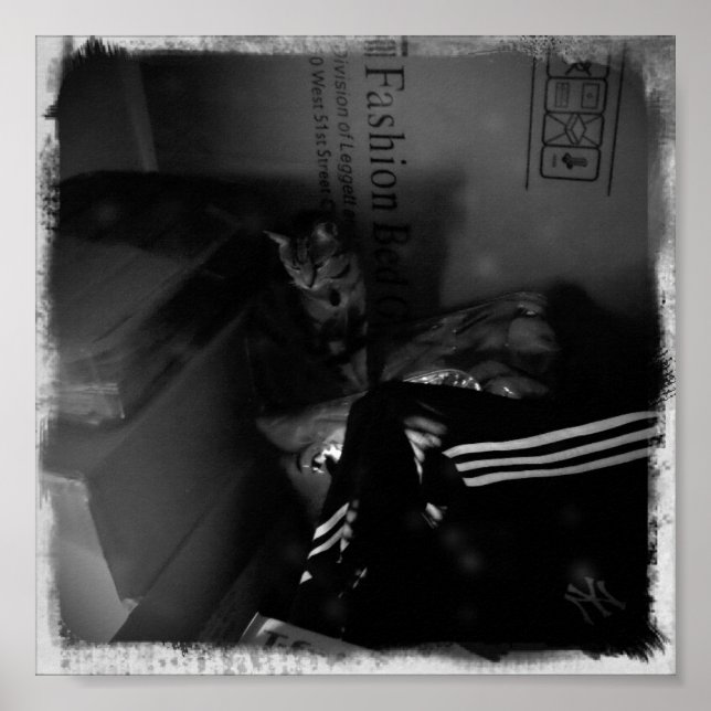 Póster Indigo Moving Helper (Frente)