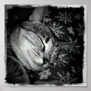 Póster Indigo sonriente B+W