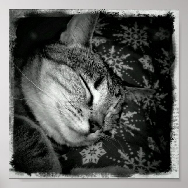 Póster Indigo sonriente B+W (Frente)