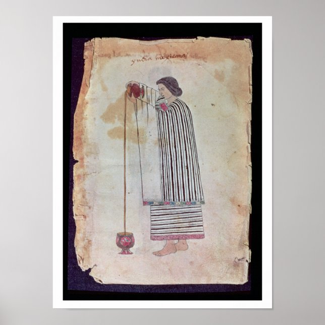 Póster Indio mexicano prepara chocolate, del códice (Frente)
