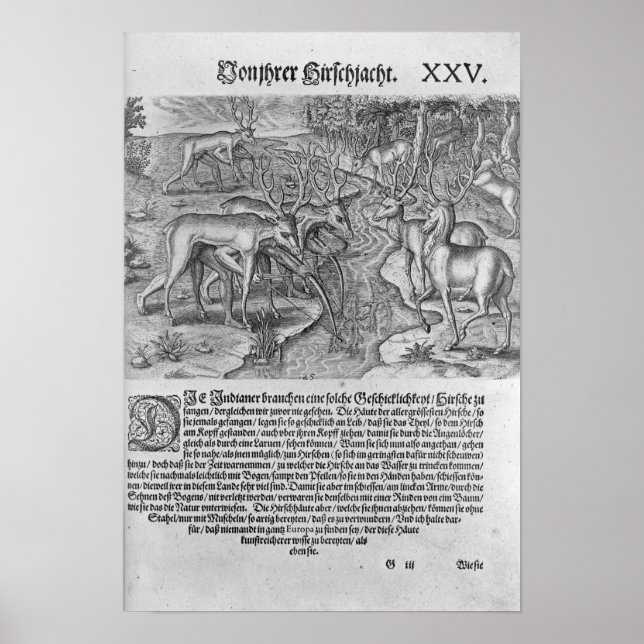 Póster Indios de Florida cazando ciervos (Frente)