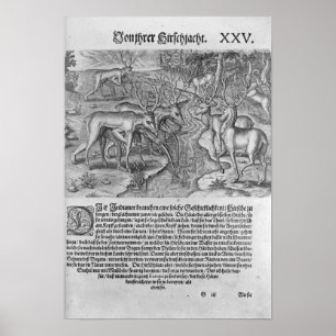 Póster Indios de la Florida que cazan ciervos