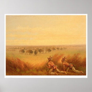 Póster Indios trepando en una manada de búfalos (1907A)