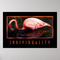 Individualidad