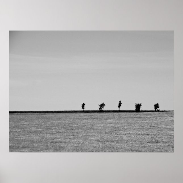 Póster individuos (Frente)