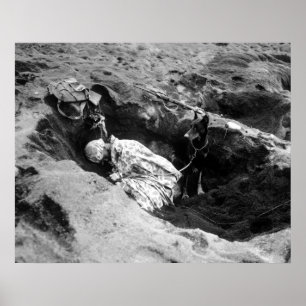 Póster Infante de marina y su perro