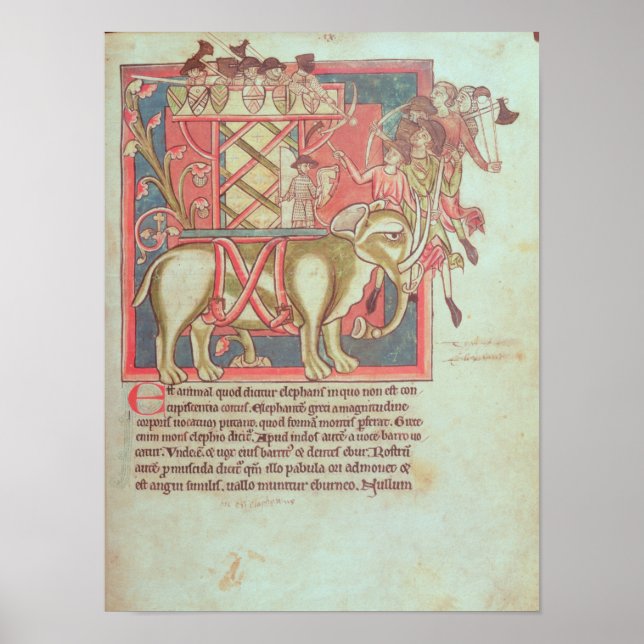 Póster Infantería atacando a un elefante (Frente)