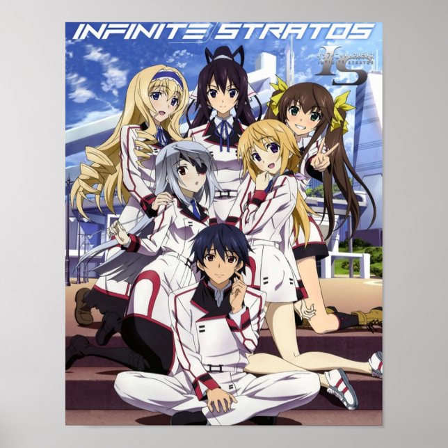 Póster Infinite Stratos (Frente)