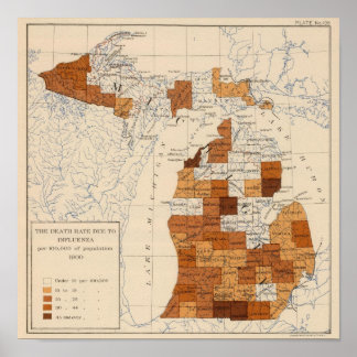Póster Influenza Michigan