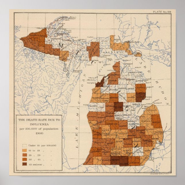 Póster Influenza Michigan (Frente)