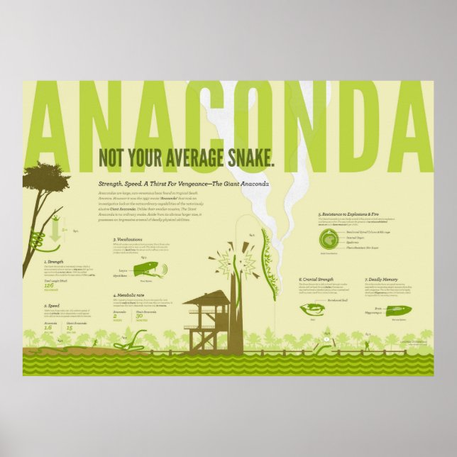 Póster Infografía: Anaconda (Frente)