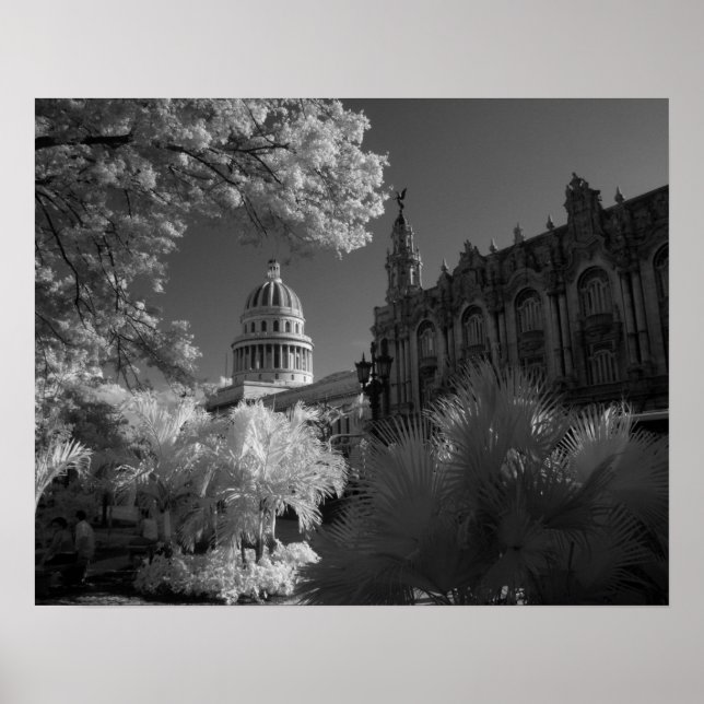 Póster Infrarrojo de la cúpula del edificio del Capitolio (Frente)