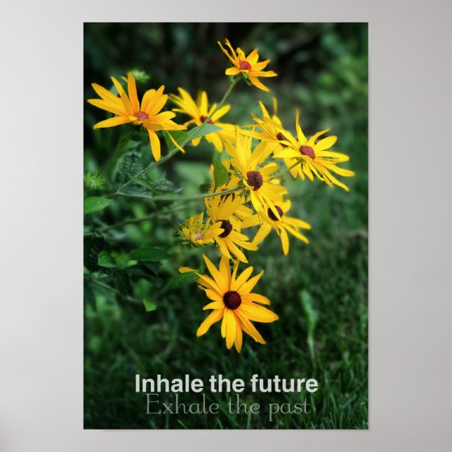 Póster Inhalar al futuro Poster (Frente)