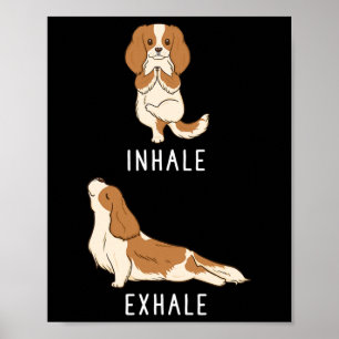 Póster Inhalar Exhalar Cavalier King Charles Spaniel Dive