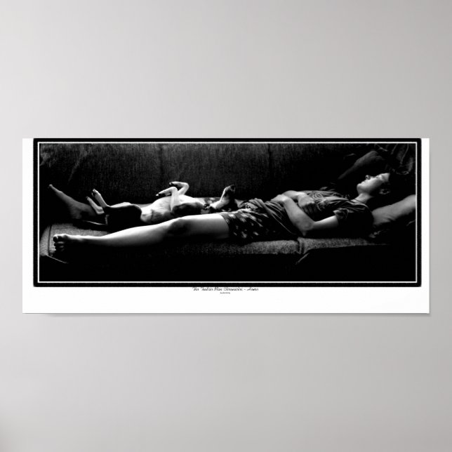 Póster Inicio - Mejor Amigo (Frente)