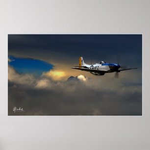 Póster Inicio tardío