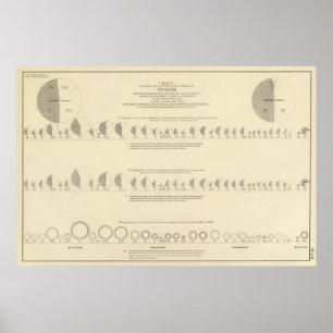 Póster Insane, Statistical US Lithograph 1870
