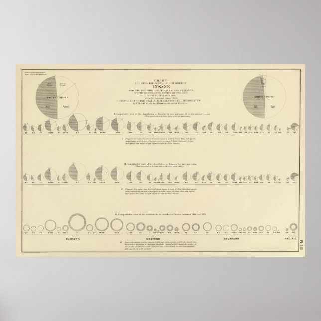 Póster Insane, Statistical US Lithograph 1870 (Frente)