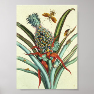 Póster Insect Generations Plate 1