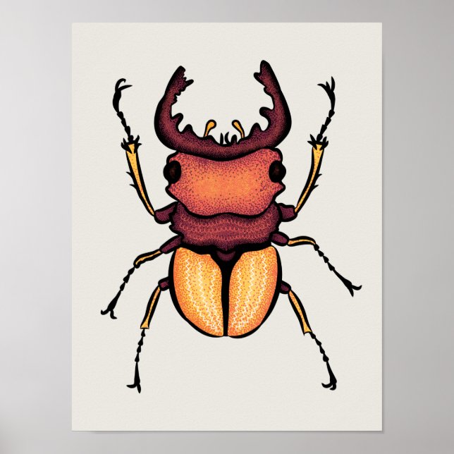 Póster Insectos de entomología artística del escarabajo (Frente)