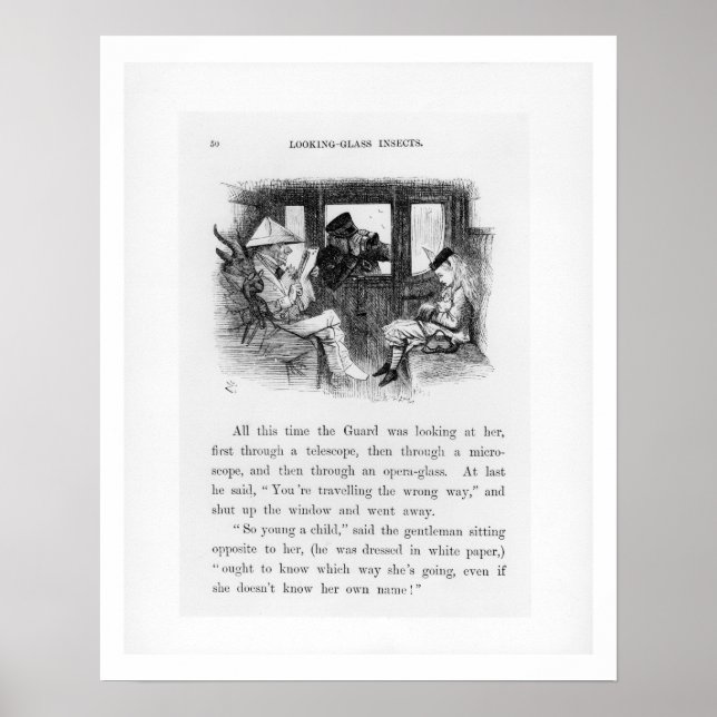 Póster Insectos de vidrio mirador, ilustracion de 'Alice  (Frente)