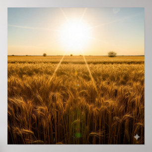 Póster Insistente sol de mediodía