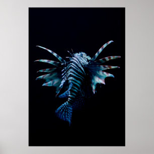 Póster Inspiración