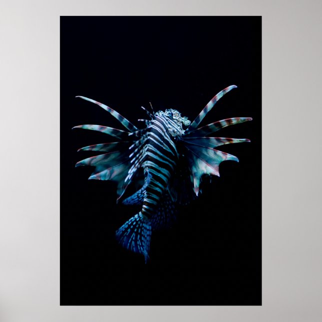 Póster Inspiración (Frente)