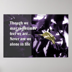 Póster Inspiración a través de la naturaleza