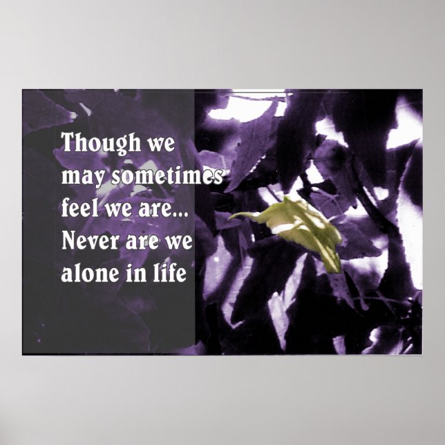 Póster Inspiración a través de la naturaleza (Frente)