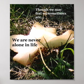 Póster Inspiración a través de la naturaleza