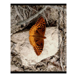 Póster Inspiración de mariposa