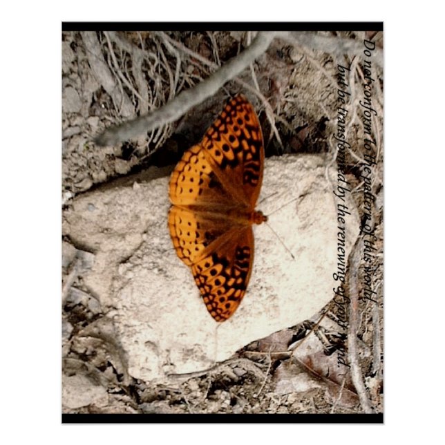 Póster Inspiración de mariposa (Anverso)