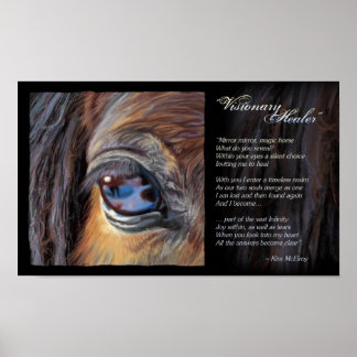 Póster Inspiración de Visionary Healer, © Kim McElroy