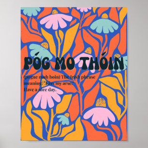 Póster inspirado en los 70 Póg mo thóin irlandés