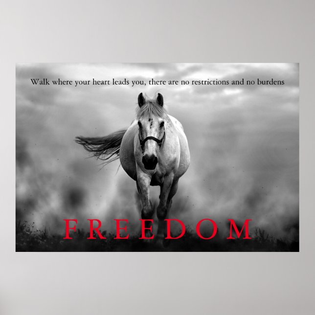 Póster Inspiradora libertad de caballo blanco y negro (Frente)
